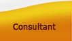 Consultant